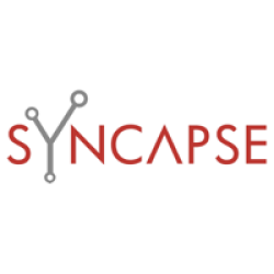Syncapse