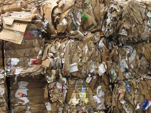 paper-recycling-plant